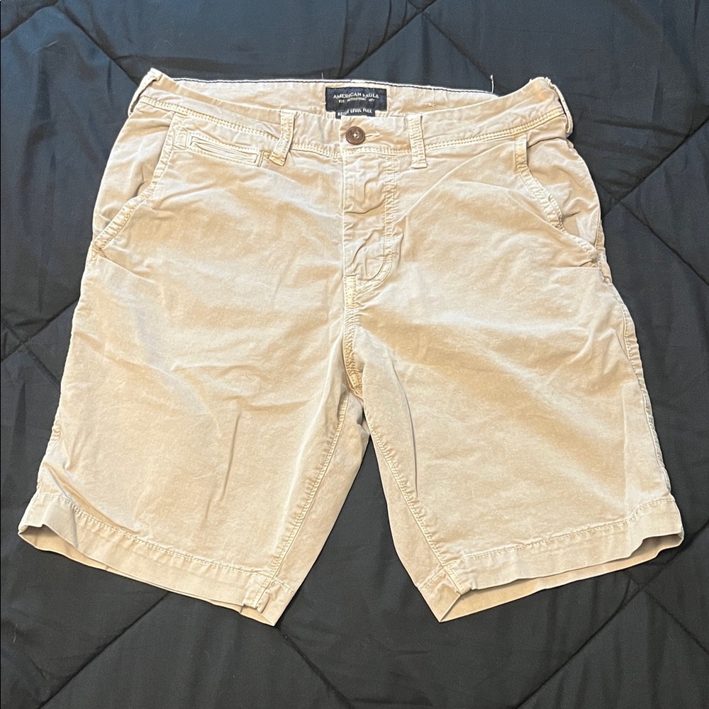 American Eagle Outfitters Tan Men's Flat Front Shorts